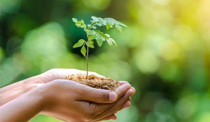 A step towards a greener future: Thank you all! — cover